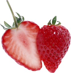 assgod:  it’s weird seeing strawberries