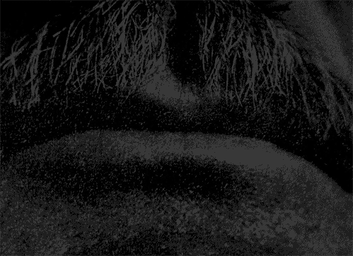 atrofiarte:  asaucerfulofcobras:  Citizen Kane: 70 Years looking for Rosebud.  ¡Verdad!