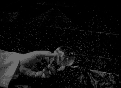 atrofiarte:  asaucerfulofcobras:  Citizen Kane: 70 Years looking for Rosebud.  ¡Verdad!