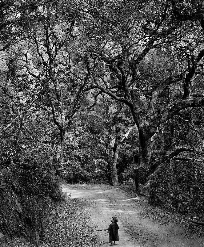 Wynn Bullock
Child on Forest Road, 1958