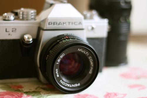 stonecolddfox:   GIVEAWAY!!!! Ok guys, heres the second giveaway you asked for! Prize: A Prakica film camera with an extra lens, in full working condition. (no film included). To he honest, I don’t know anything about this camera or the lens, and thats