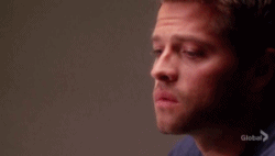 The Holy Grail of Reactions/GIFs