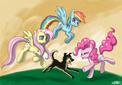 flutterdashpie:  An awesome image a good