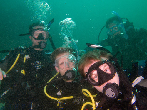 divingoman:
“ Here’s us!
Here’s the four of us who started this thing saying Hi!
”
Congratulations on your Open Water, Nitrox and National Geographic certifications guys!