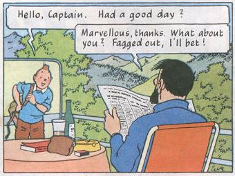 Then Tintin and the Captain fagged each other out till the sun set. THE END.