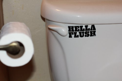 jaynike21:  That’s HELLA FLUSH 