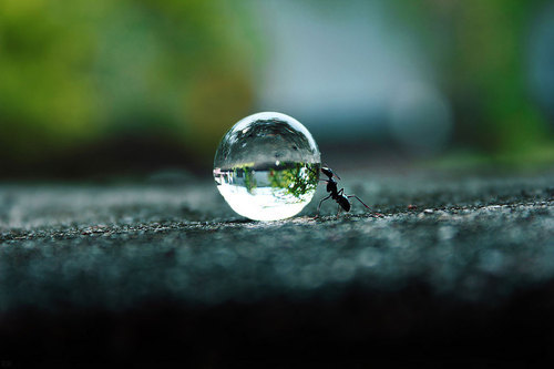Life Infinite