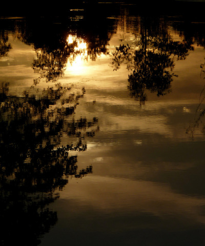 dendroica:
“Flooded Sunset on Flickr.
”