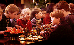 lastofthetimeladies:   #THIS #THIS IS WHERE WE SAW RON WEASLEY FROM THE BOOKS #THIS
