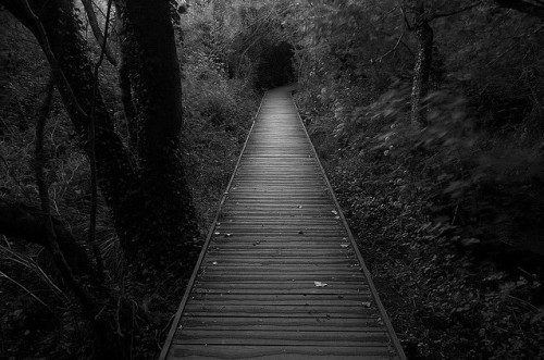 Silence