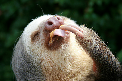 I want to know how to be this happy.