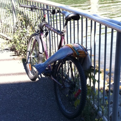 This is how the urban fisherman rolls. (Taken with instagram)