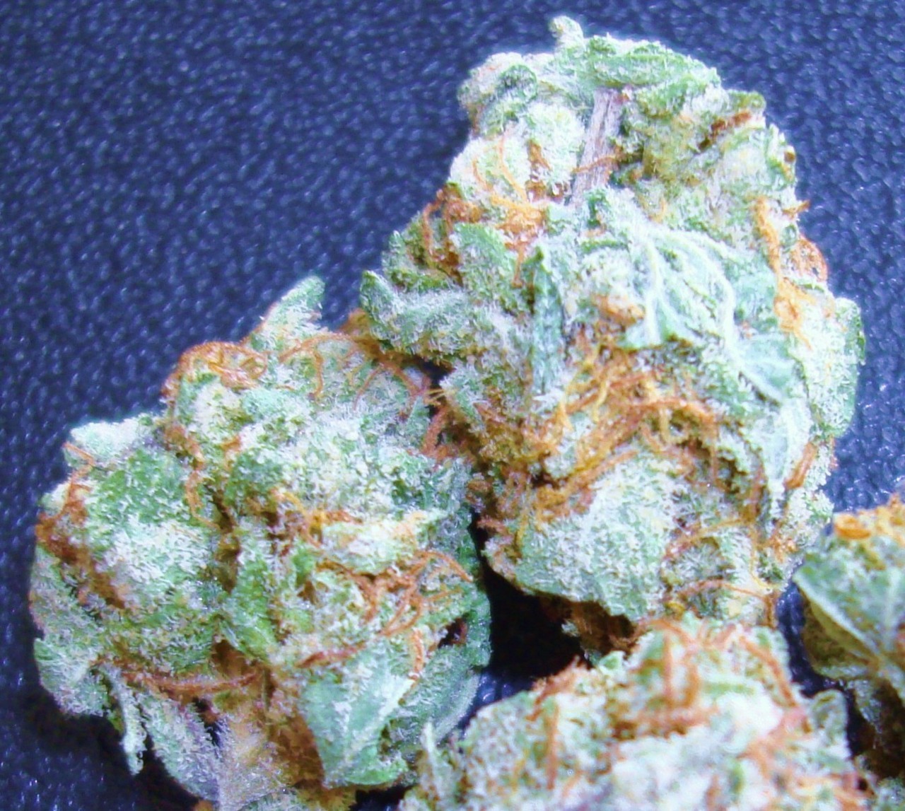 thatsgoodweed:  kush fresh off a farm 