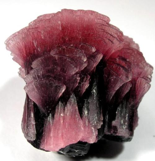 Elbaite represents a love of humanity and humanitarianism. It is worn to promote sympathy towards ot