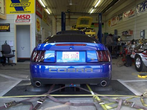 XXX automotiveheart:  terminator on the dyno photo