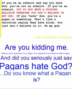 the-unpopular-opinions:  Feel free to come at me. (tumblesock.tumblr.com)  im pagan! bitch