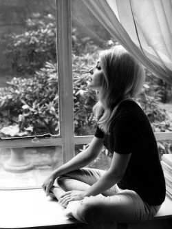 myselfinwonderland:  Sharon Tate 