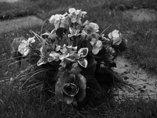 diacetyl-morphine.tumblr.com/post/10086118510/