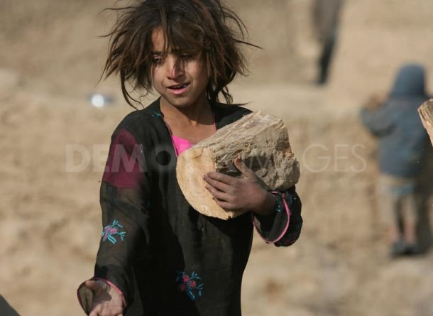 Afghan girl picking up wood for fire.