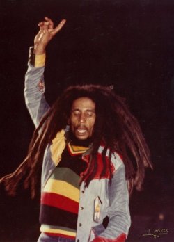 REGGAE PEACE AND LOVE