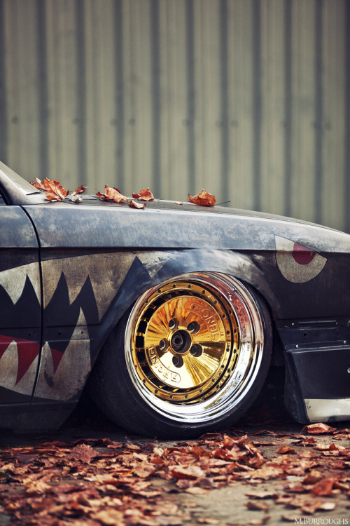 fueledbypetrol:  Red Leaves by Mike Burroughs 