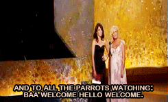 death-by-lulz:  Be sure to follow this blog, it’ll look great on your dashboard 