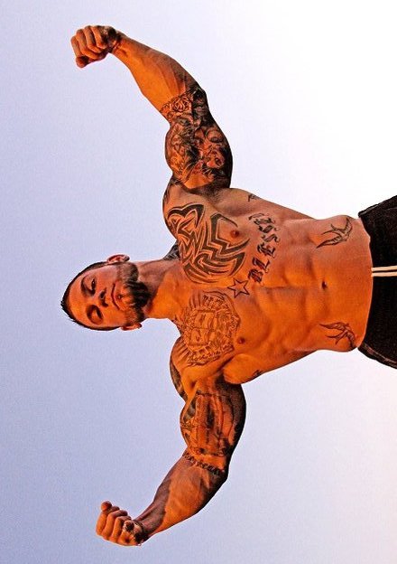 muscledrobert:  Joe Joe 