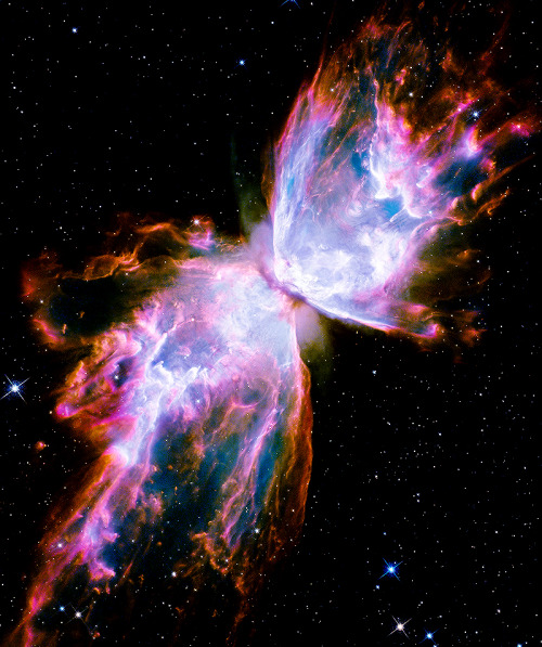 cwnl:Butterfly Nebula from Upgraded HubbleDistance: 4,000 light years awayThe bright clusters and ne