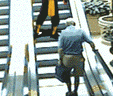 deonizm:  Scorpion…wins. Flawless. Victory. 