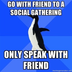 Socially Awkward Penguin.