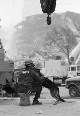 illjuxtaposition:  Photos by trained 1st responder and retired (in 2003) police officer,