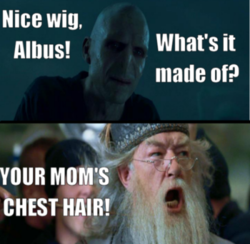 olliegee:  The best Harry Potter/Mean Girls porn pictures