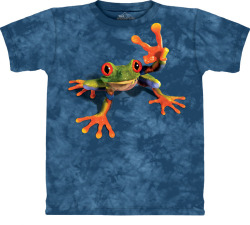 More resolution http://www.moontimemagick.com/images/victory_frog_t_shirt.jpg