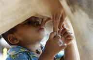 カンボジアの1歳半男児が牛から授乳、母親出稼ぎで | Reuters 切ないわあ(ﾉД`)