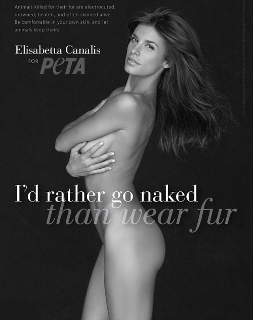 Elisabetta Canalis nude for PETA.
