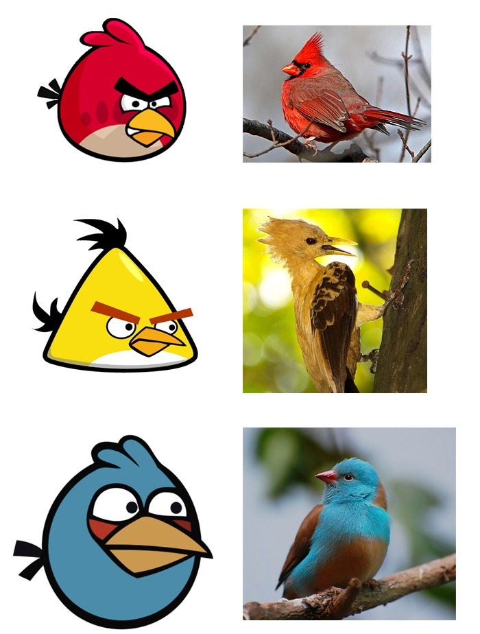 sortofkindalikenaparanglovekita:  ANGRY BIRDS 