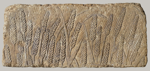 art-through-the-ages:  A Field of Barley, Dynasty 18, reign of Akhenaten, ca. 1349–1336 b.c.  Got a 