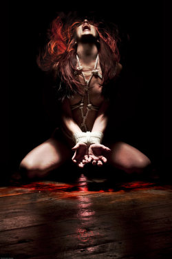 darkkaart:   Shibari Bound Sacrificeby ~poisonberry 