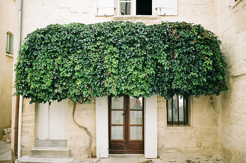 emptycupboard:  (by brianwferry) 