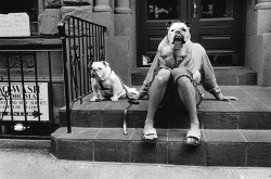 Elliott Erwitt - New York city, 2000.