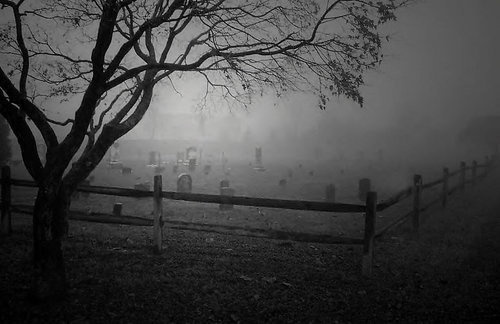 within sorrow filled husks