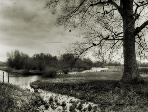 within sorrow filled husks