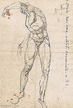 Fuseli - Study Of A Male Nude