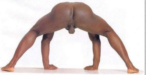 Politically Erect ^