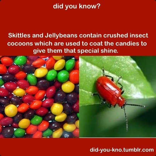 did-you-kno:  Source  &hellip;..they&rsquo;re still delicious&hellip;..o-o