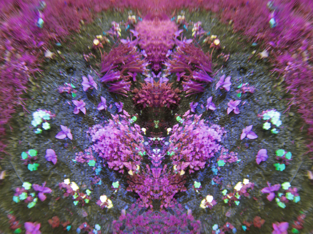 ☤
