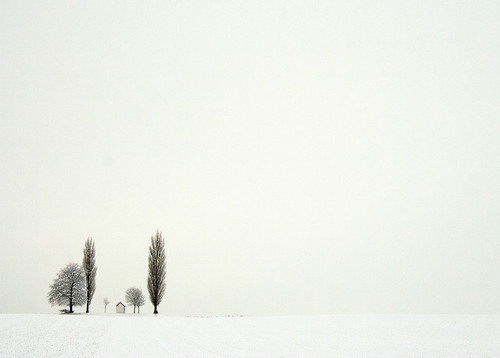 thisisthehorrorshow:  by mmarsupilami Blanche et pure 