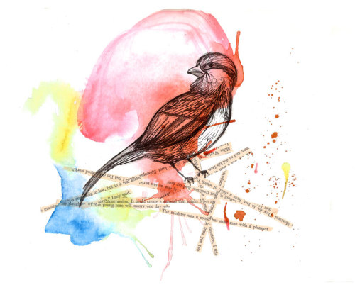 Rosefinch; ink, watercolor, book paper (digital collage) July 2011