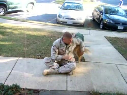 anditslove:  This never fails to make me smile. 