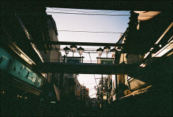 kinyoubi:  Asakusabashi 09 (by 歪茄© 蛋™)